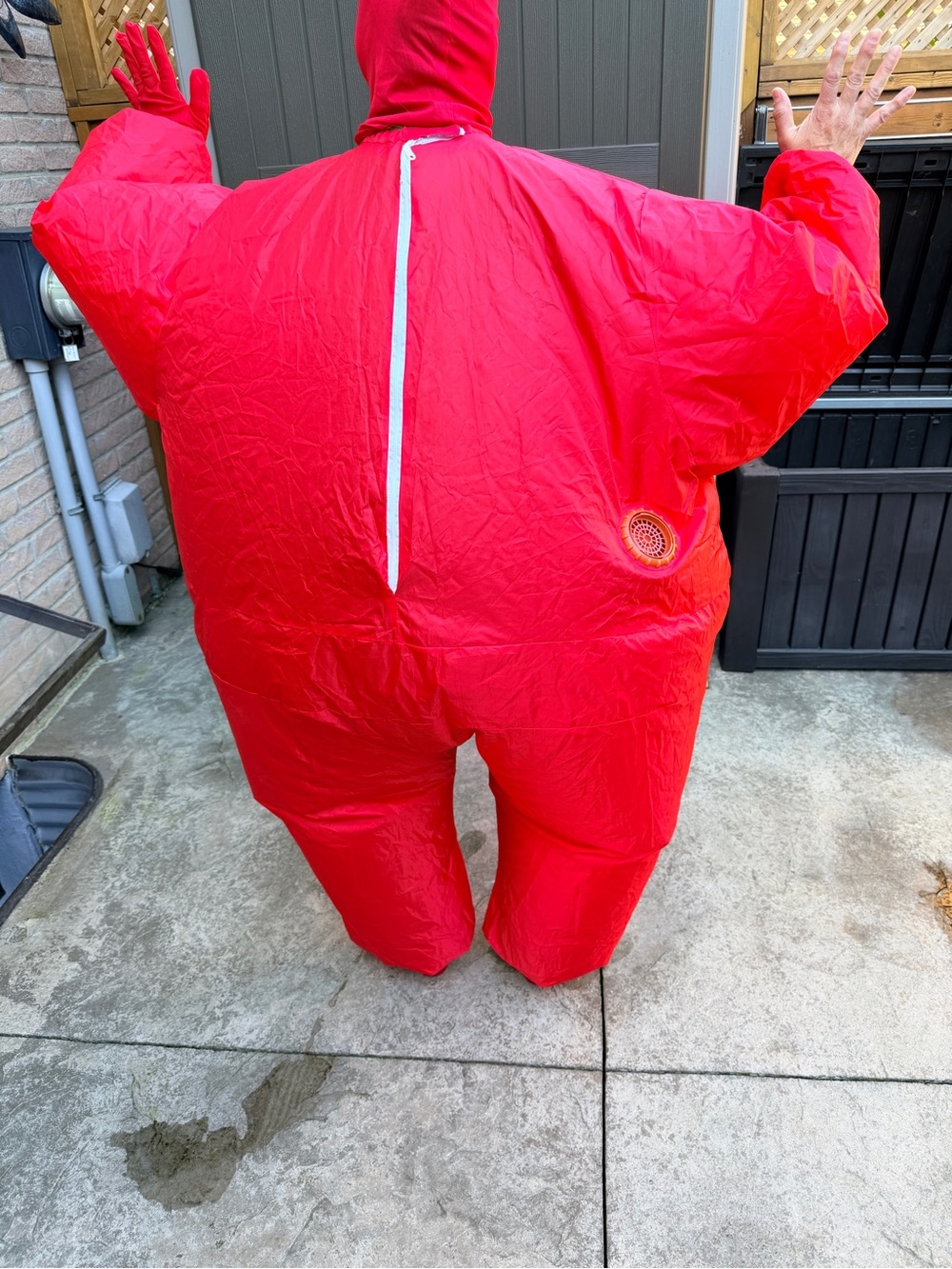 2 Adult Inflatable Halloween Costumes –Working Condition Questionable READ Disc. - Picture 15 of 15